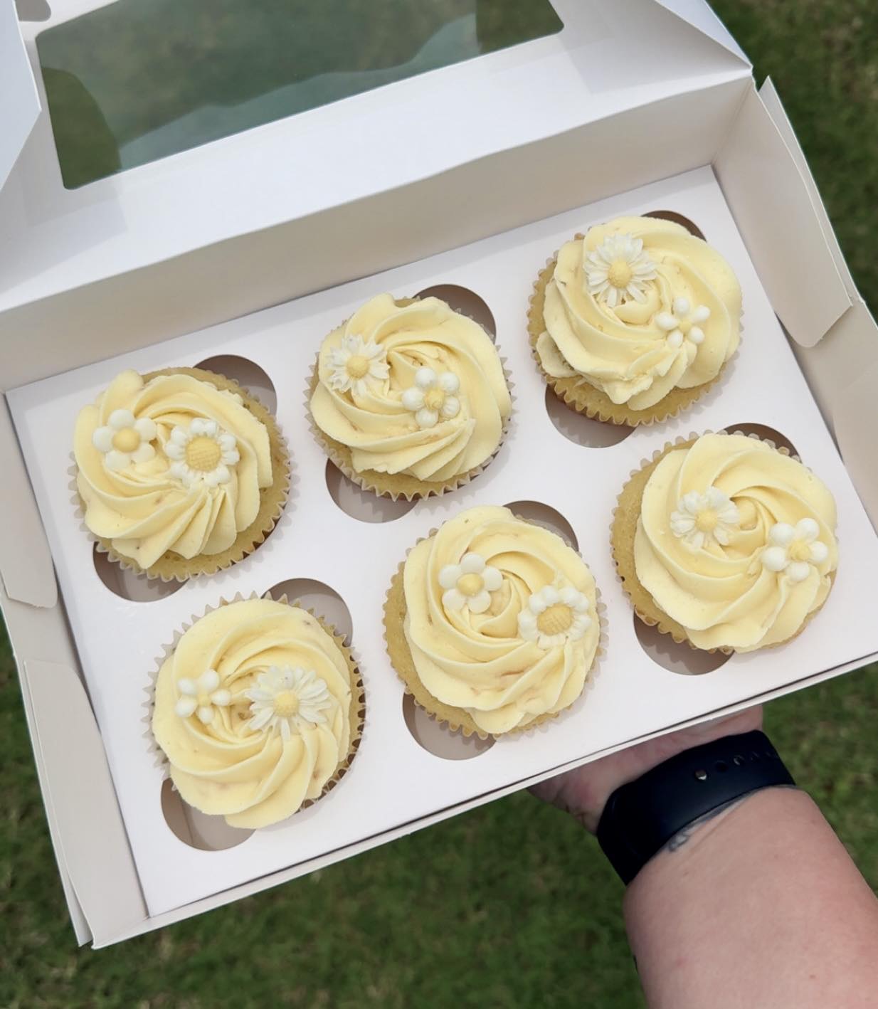Cupcakes